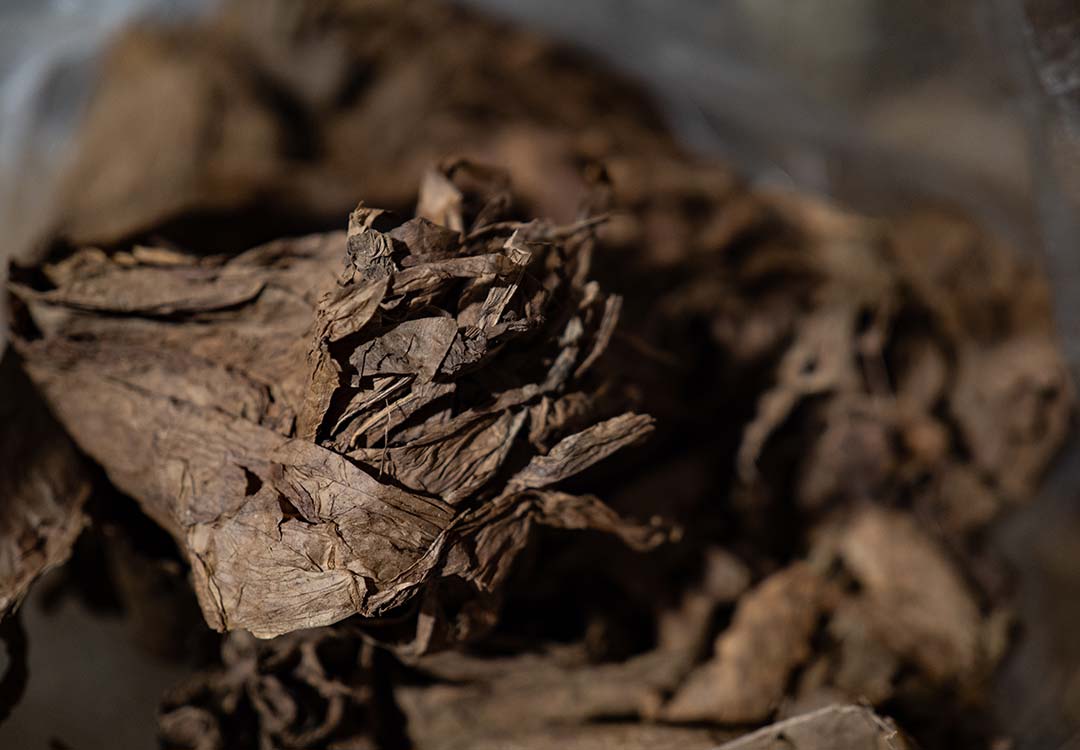 A heaping pile of cigar tobacco