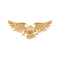 eagle drawing in gold orange